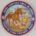 Go to the Cruz Blanca Pony Tray Details Page
